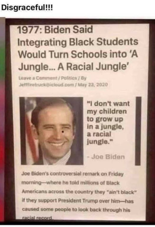 biden race.jpg