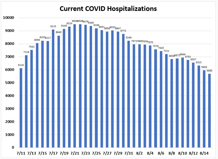 Florida Hospitalizations.jpg