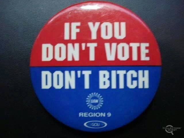 Vote Don't Bitch.jpg